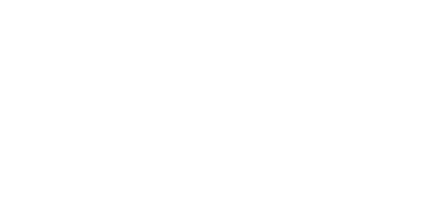 Czech Game Developers Association